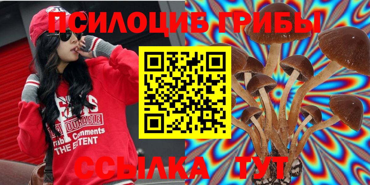 Галлюциногенные грибы MAGIC MUSHROOMS  Галлюциногенные грибы Cubensis  Горно-Алтайск  Вход с VPN 