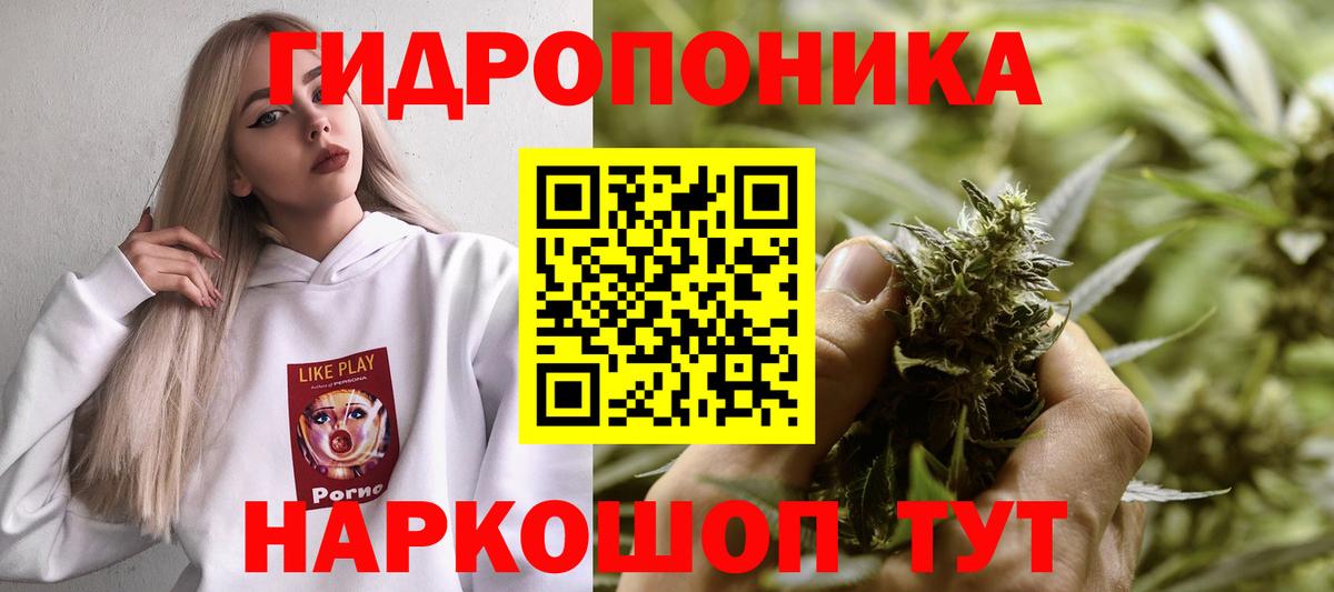 Шишки марихуана AK-47 Горно-Алтайск